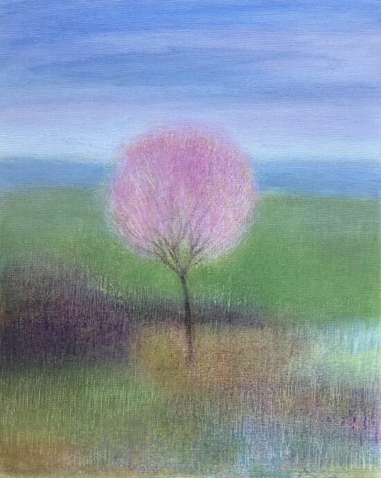 Arbre rose 